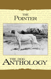 Imagen de portada: The Pointer - A Dog Anthology (A Vintage Dog Books Breed Classic) 9781406787689