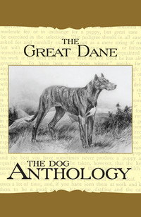 表紙画像: The Great Dane - A Dog Anthology (A Vintage Dog Books Breed Classic) 9781406787733