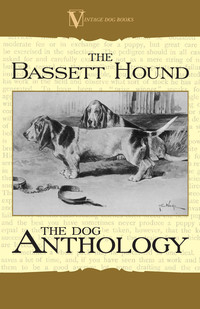 Cover image: The Basset Hound - A Dog Anthology (A Vintage Dog Books Breed Classic) 9781406791167
