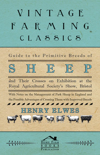 Titelbild: Guide To The Primitive Breeds Of Sheep And Their Crosses On Exhibition At The Royal Agricultural Society's Show, Bristol 1913 9781445503363
