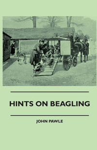 Cover image: Hints On Beagling 9781445505176