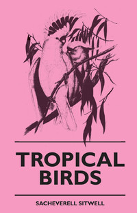 Immagine di copertina: Tropical Birds 9781445509365