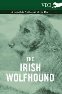 Cover image: The Irish Wolfhound - A Complete Anthology of the Dog 9781445526249
