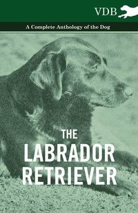 表紙画像: The Labrador Retriever - A Complete Anthology of the Dog 9781445526294