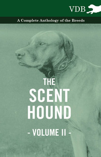 صورة الغلاف: The Scent Hound Vol. II. - A Complete Anthology of the Breeds 9781445526492