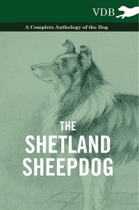 Immagine di copertina: The Shetland Sheepdog - A Complete Anthology of the Dog 9781445526577
