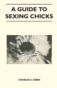 صورة الغلاف: A Guide To Sexing Chicks 9781446518885