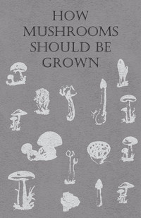 Imagen de portada: How Mushrooms Should Be Grown 9781446520192
