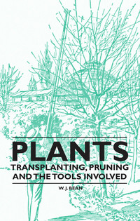 Imagen de portada: Plants - Transplanting, Pruning and the Tools Involved 9781446524008