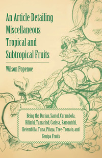 Imagen de portada: An Article Detailing Miscellaneous Tropical and Subtropical Fruits 9781446537725