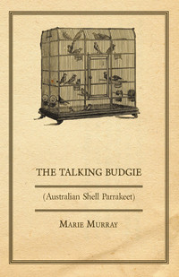 Cover image: The Talking Budgie (Australian Shell Parrakeet) 9781447410355