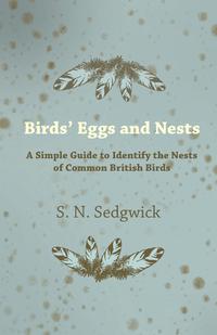 Imagen de portada: Birds' Eggs and Nests - A Simple Guide to Identify the Nests of Common British Birds 9781447412601