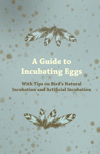 Imagen de portada: A Guide to Incubating Eggs - With Tips on Bird's Natural Incubation and Artificial Incubation 9781447414773