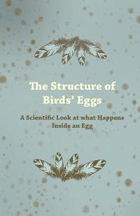 صورة الغلاف: The Structure of Birds' Eggs - A Scientific Look at what Happens Inside an Egg 9781447414971