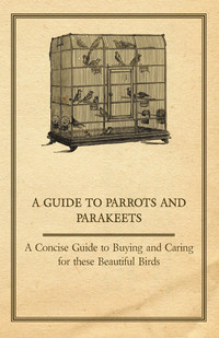 صورة الغلاف: A Guide to Parrots and Parakeets - A Concise Guide to Buying and Caring for These Beautiful Birds 9781447414995
