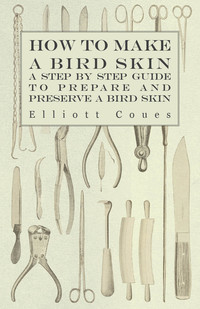 Imagen de portada: How to Make a Bird Skin - A Step by Step Guide to Prepare and Preserve a Bird Skin 9781447415046