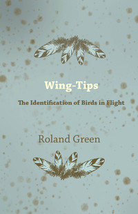 Imagen de portada: Wing-Tips - The Identification of Birds in Flight 9781447422693