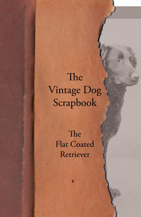Imagen de portada: The Vintage Dog Scrapbook - The Flat Coated Retriever 9781447428534