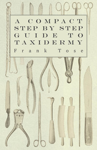 表紙画像: A Compact Step by Step Guide to Taxidermy 9781447431800