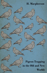 صورة الغلاف: Pigeon Trapping in the Old and New Worlds 9781447450757
