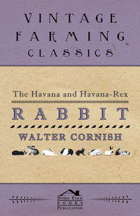 Cover image: The Havana and Havana-Rex Rabbit 9781447464532