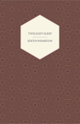 Imagen de portada: Twilight Sleep 9781473318731