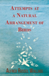 Omslagafbeelding: Attempts at a Natural Arrangement of Birds 9781473329485