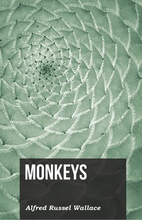 Immagine di copertina: Monkeys 9781473329652