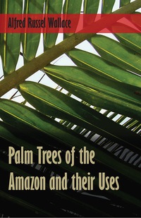 Titelbild: Palm Trees of the Amazon and their Uses 9781473329782