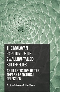 Omslagafbeelding: The Malayan PapilionidÃ¦ or Swallow-tailed Butterflies, as Illustrative of the Theory of Natural Selection 9781473329812