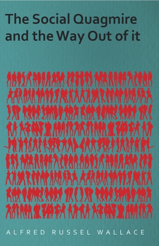 Cover image: The Social Quagmire and the Way Out of it 9781473329874