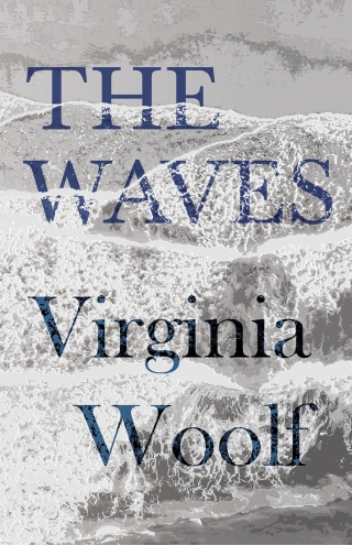 Imagen de portada: The Waves 9781447479130