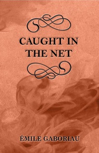 Omslagafbeelding: Caught in the Net 9781447478942