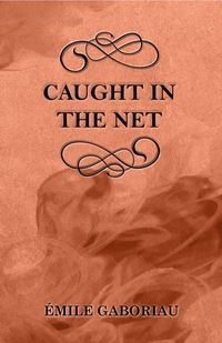 Imagen de portada: Caught in the Net 9781447478942