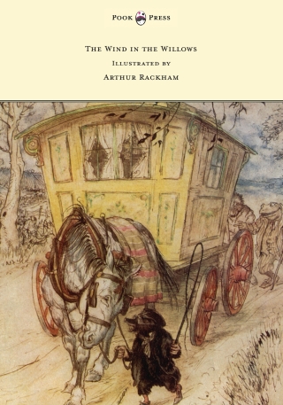 表紙画像: The Wind in the Willows - Illustrated by Arthur Rackham 9781473319271