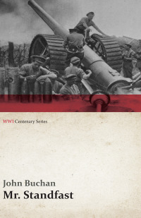 Immagine di copertina: Mr. Standfast (WWI Centenary Series) 9781473313002