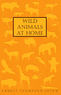 Immagine di copertina: Wild Animals at Home 9781408697276