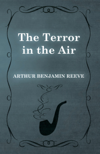Imagen de portada: The Terror in the Air 9781473326286