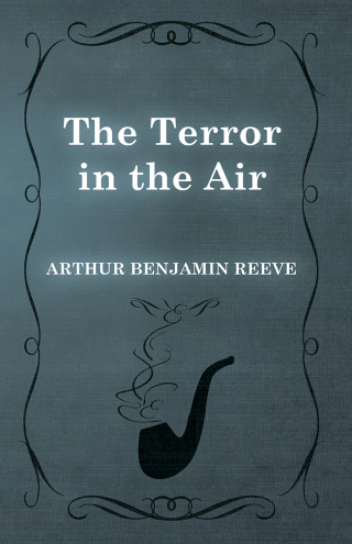 Cover image: The Terror in the Air 9781473326286