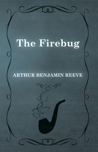 Cover image: The Firebug 9781473326200