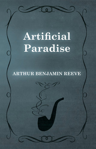Immagine di copertina: Artificial Paradise 9781473326125