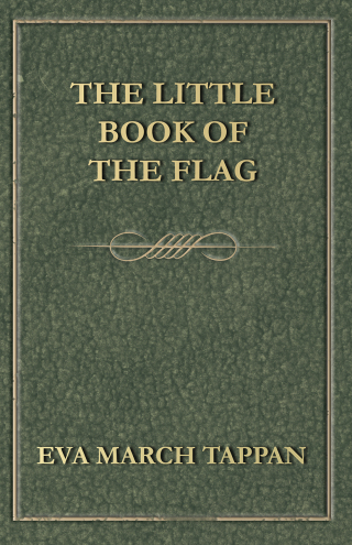 Cover image: The Little Book of the Flag 9781473316539