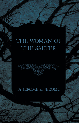 Omslagafbeelding: The Woman of the Saeter 9781473316812