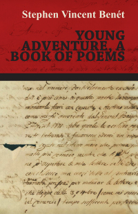 Immagine di copertina: Young Adventure, a Book of Poems 9781473317680