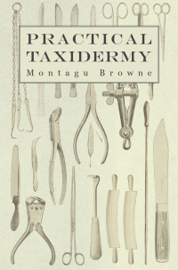 Cover image: Practical Taxidermy 9781905124367