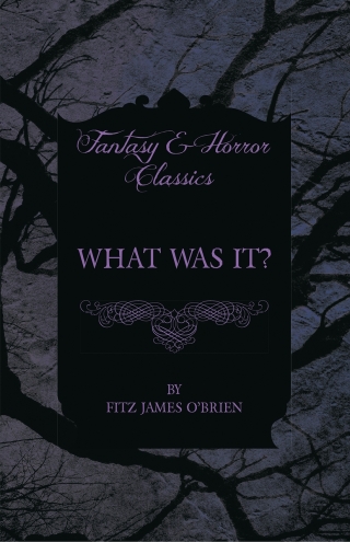 Cover image: What Was It? 9781447466413