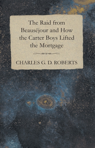Imagen de portada: The Raid from Beausejour and How the Carter Boys Lifted the Mortgage 9781473304611