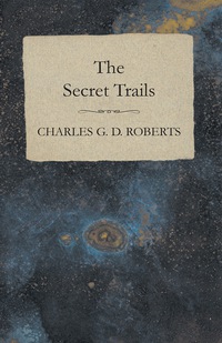 Titelbild: The Secret Trails 9781473304604