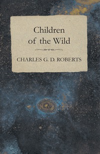 Immagine di copertina: Children of the Wild 9781473304581