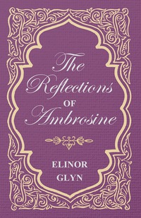 Cover image: The Reflections of Ambrosine 9781473304765
